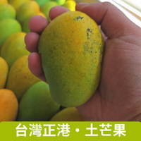 台灣土芒果 單顆約125g 三入