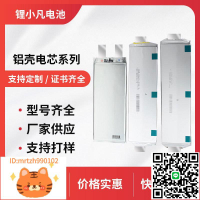 定制聚合物軟包高倍率鋰電池LGSK孚能三元磷酸鐵鋰電動車4050-淘淘屋 可開發票
