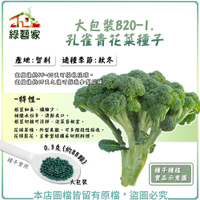 【綠藝家】大包裝B20-1.孔雀青花菜種子 0.3克(約88顆)
