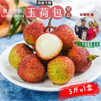 預購 初品果 高雄大樹玉荷包禮盒3斤x1盒(外銷等級32mm-35mm_顆粒_冷藏_鳳荔文化獎_企業送禮)