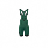 【velobici】VB HUGO Thermal Bib Shorts 男款冬季車褲 森林綠