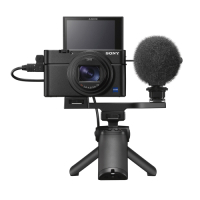 SONY DSC-RX100VII G(M7 / MVII) 數位相機 (公司貨)