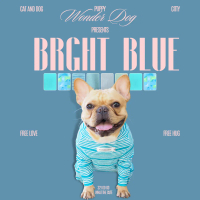 ชุดเก็บขน ชุดกันขนร่วง WONDER DOG เสื้อหมา เสื้อแมว ชุดหมา ชุดแมว ชุดสัตว์เลี้ยง โทนสีมิ้น