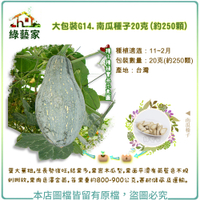 【綠藝家】大包裝G14.南瓜種子20克(約250顆)