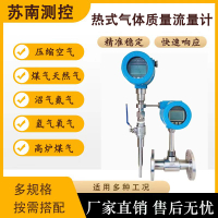 【最低價 公司貨】高精度熱式氣體質量流量計插入式管道式壓縮空氣氧氣氮氣天然氣