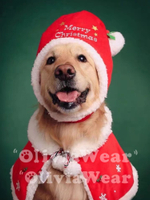 寵物帽子 寵物頭套 圣誕快樂 金毛泰迪比熊大中小型犬圣誕圍巾帽子披風寵物用品新品【KL8777】