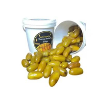 Kurma Tunisia Ruthob Libya 850Gram Kemasan Ember fress Simpan di Freezer