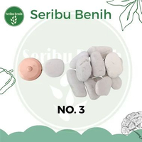 Batu Koral Putih - Coral Kupang Hiasan Taman Aquascape 10kg NO. 3