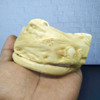 gelang akar bahar putih jumbo