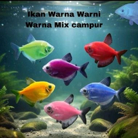 ikan glofish paket 50 ekor