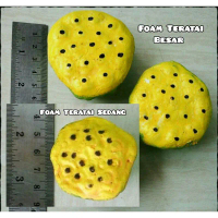 Foam Teratai Kecil Foam Teratai Sedang Foam Teratai Besar