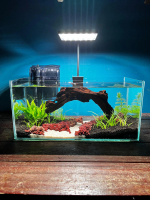 Dragon Style  Aquarium Set | 16\x10\"x10\" | 15\"x7\"x7\" | 12”x12”x12” Glass Aquarium"