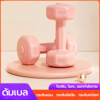 ดัมเบล 1kg-3KG 2ชิ้น สำหรับลดไขมันต้นแขน ออกกำลังกาย ฟิตเนส ดัมเบลสำหรับผู้หญิง ออกกำลังกาย