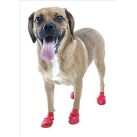 美國Pawz 「防水止滑 安全無毒 寵物鞋」天然橡膠腳套(S)12入