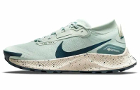 WMNS PEGASUS TRAIL 3 GTX SEAFOAM