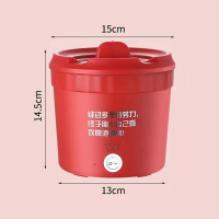 GEESO Mini Electric Cooker Multi-function Electric Hot Pot Small Household Noodles Bowl All-in-one P