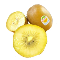 【RealShop】紐西蘭黃金奇異果 3.3kg/25-27顆x2箱(Zespri 真食材本舖)