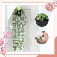 UNICO / COD / Daun Rambat Palsu Tanaman Hias Indoor Pot Bunga Artificial Dekorasi Hoya Costa Dinding