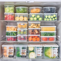 日本進口冰箱收納盒塑料保鮮盒長方形密封盒子食品餃子冷凍整理盒3個