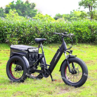 electric delivery tricycle 20*4.0 inch Fat tire high speed electric tricycles 36V350W cargo tricycle electric/3 wheel ebike
