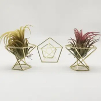 Anti-corrosion 3Pcs Useful Widely Use Air Plant Stand Holder Metal Airplant Container Pot Elegant Garden Decor