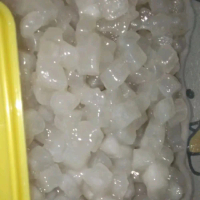 Cimin Fress/Cilor Mentah 1KG Free Bumbu - Snack
