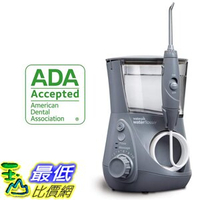 【免運保固1年】 Waterpik WP-667 灰色 沖牙機 Aquarius Water Flosser FF2