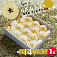 【果樹寶石】日本青森金星蘋果特大果14顆x1盒（5KG±10%/盒）（350G±5%/顆）(綿密口感、適長者食用)