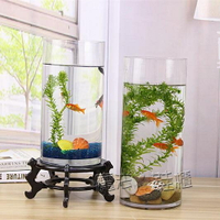 金魚缸 玻璃 水族箱小型創意生態圓形 圓柱大號烏龜缸 造景培裝飾