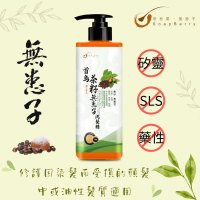 皂皂果 - 首烏茶籽無患子洗髮精 500mL