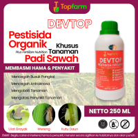 Obat Pembasmi Wereng / Obat Hama Khusus Padi Sawah / Obat Semprot Hama Wereng Paling Ampuh / Obat Wa