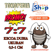 Promo 7:7 KECOA DUBIA 0,5-1 CM