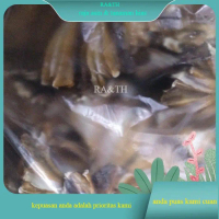 ikan asin pari (raja asin)