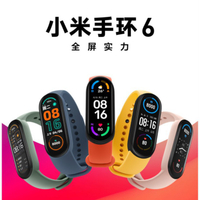 小米手環6 黑 標準版 含銀幕保護貼【官方原裝正版】臺灣發貨 臺灣保固一年 下單送UB序號2年期