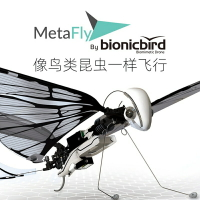 黑科技生日禮物智能遙控電動仿生鳥昆蟲飛行器迷你法國BionicBird