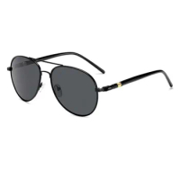 Photochromic Sunglasses Day and Night Vision Driving Sun Glasses Mens Aviation Polarized UV400 Women Titanium Goggles