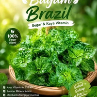 bibit Bayam Brazil segar isi 5 tangkai