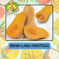 Benih Buah Buahan Bibit Biji Tanaman Organik Labu Mentega