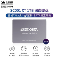 【高品質閃存顆粒】致態(ZhiTai)長江存儲 SSD固態硬盤 SATA 3.0 接口 SC001XT系列-享樂