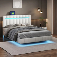 Queen Size Floating Bed Frame with LED Lights and USB Charging,Modern Upholstered Platform LED Bed Frame, No-Noise Design,White