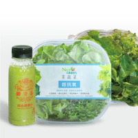 【NICE GREEn 美蔬菜】美蔬菜盒4+綠菁晶 6 瓶 贈沙拉醬4包(萵苣 生菜 沙拉 蔬菜 綜合蔬果汁)