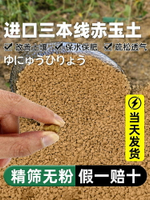 日本進口赤玉土三本線多肉顆粒土盆景專用爬寵鋪面硬質營養土