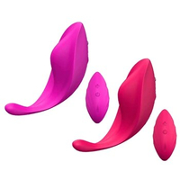 Wearable Panty Vibrator with Wireless Remote Control Panties Vibrating Eggs Drop Shipping