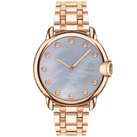 【COACH】官方授權經銷商 優雅貝面時尚手錶-36mm 畢業 禮物(14503988)