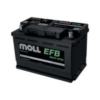【MOLL】82075 Start-Stop EFB電瓶 高性能 12V 75AH 760CCA 免加水汽車電池 德國製