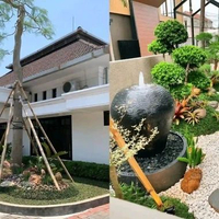 Taman tropis pohon kelor Afrika (Gratis konsultasi dan survey lokasi) Garansi Ciptamoderen