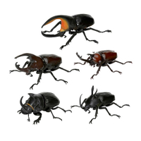 萬代 扭蛋 生物大圖鑑 P5 獨角仙 昆蟲 甲蟲 五款一組 日版現貨
