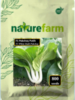 Naturefarm - Benih Sawi Pakchoy Putih F1 (F1 White Pakchoy) Daun Hijau sawi dakota