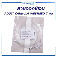 สายออกซิเจน ADULT CANNULA WESTMED 7 ฟุต คําแนะนําผลิตภัณฑ์ใหม่ของเดือนนี้