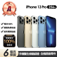 Apple A級福利品 iPhone 13 Pro 256G 6.1吋(贈充電組+玻璃貼+保護殼+100%電池)